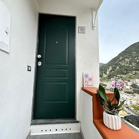 Casa Vacanza La Peonia Villa มินอริ ภายนอก รูปภาพ